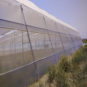 Insect Nets in Kenya, Quality Insect Nets by Aqua Hub