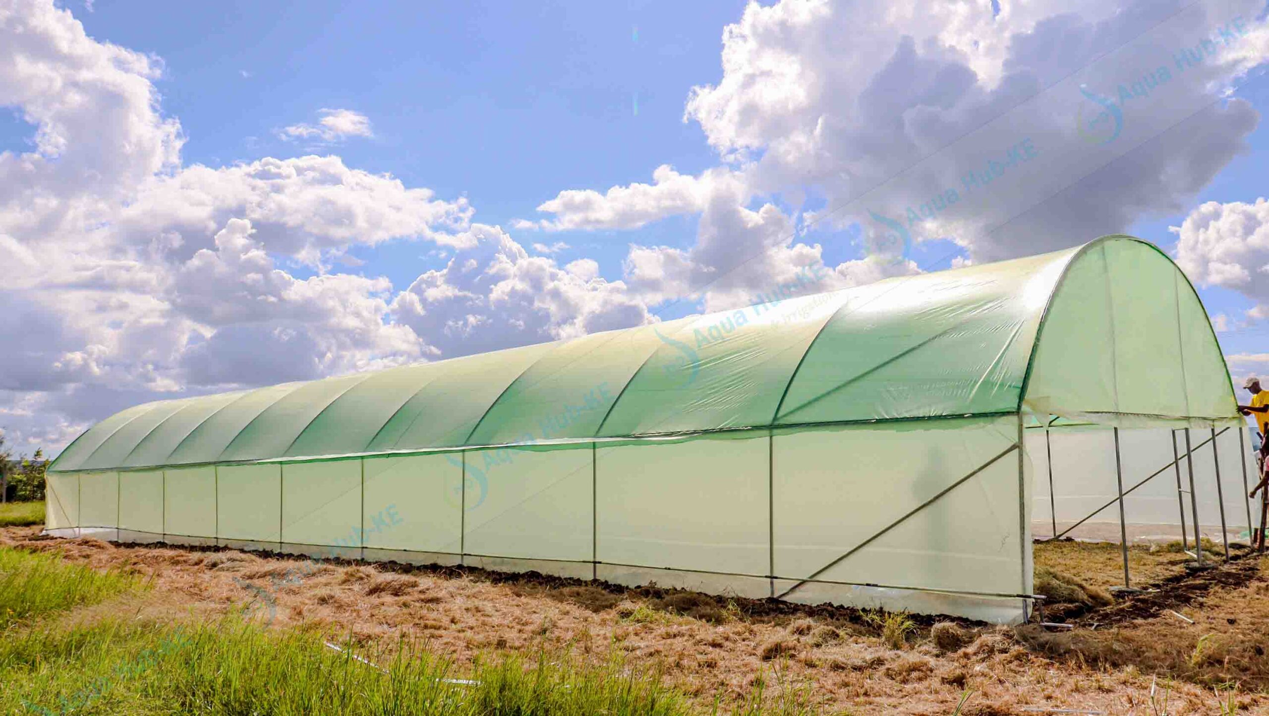 cost of setting up greenhouse in kenya by Aqua Hub Kenya