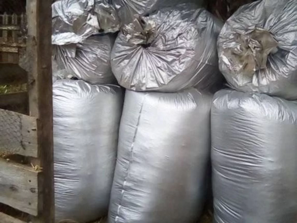 Share more than 66 silage bags 50 kg latest - in.duhocakina