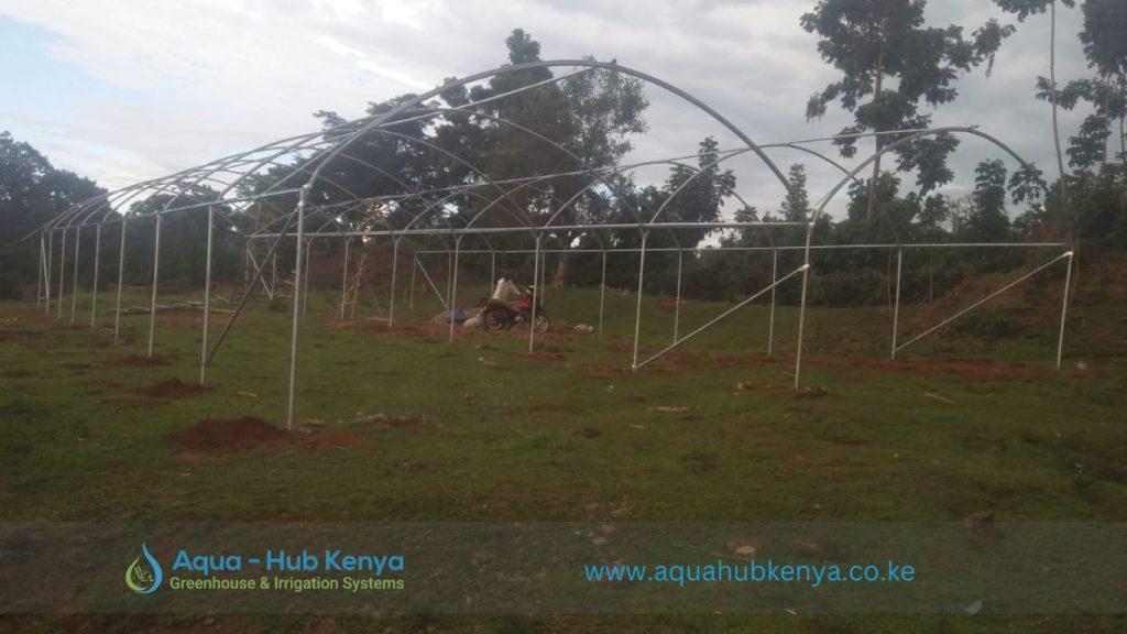 Greenhouse Price And Suppliers Kenya Call