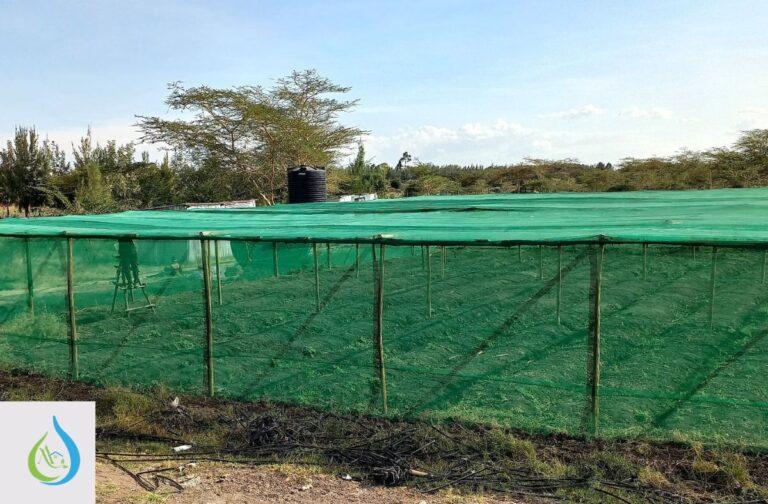 Shade Nets for Agriculture in Kenya