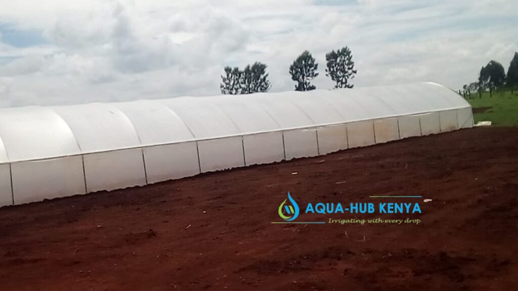 Cost Of Greenhouse In Kenya Greenhouse Prices In Kenya