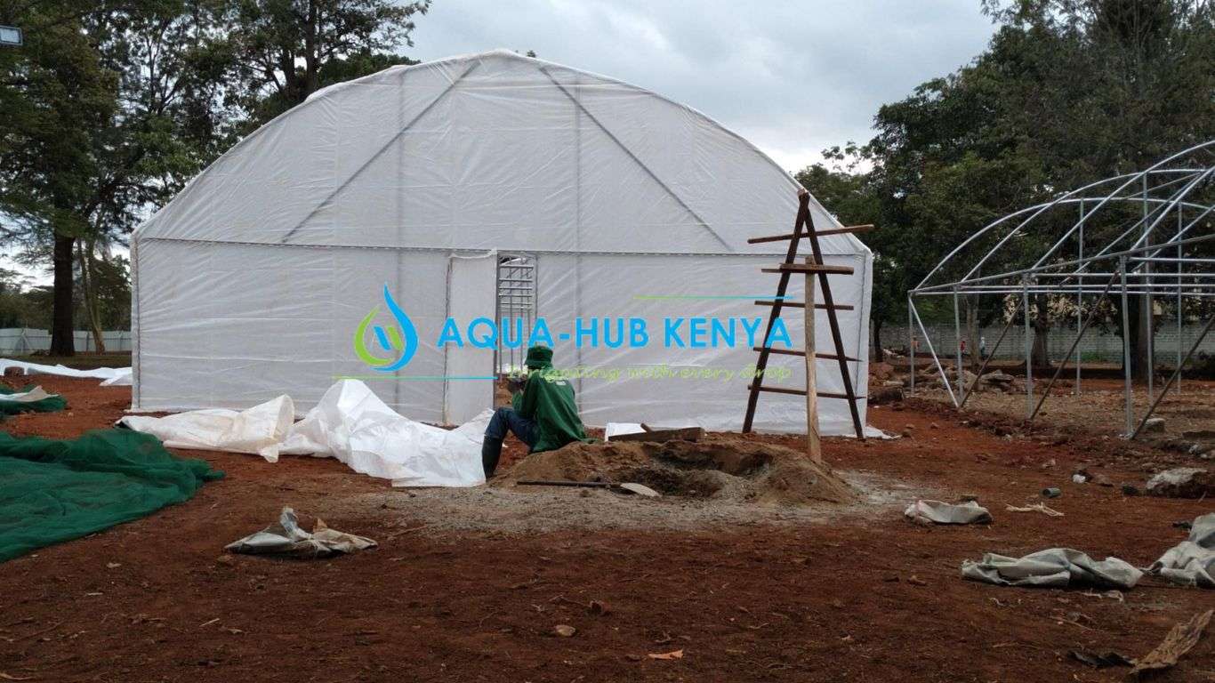 Constructing Greenhouses In Kenya 