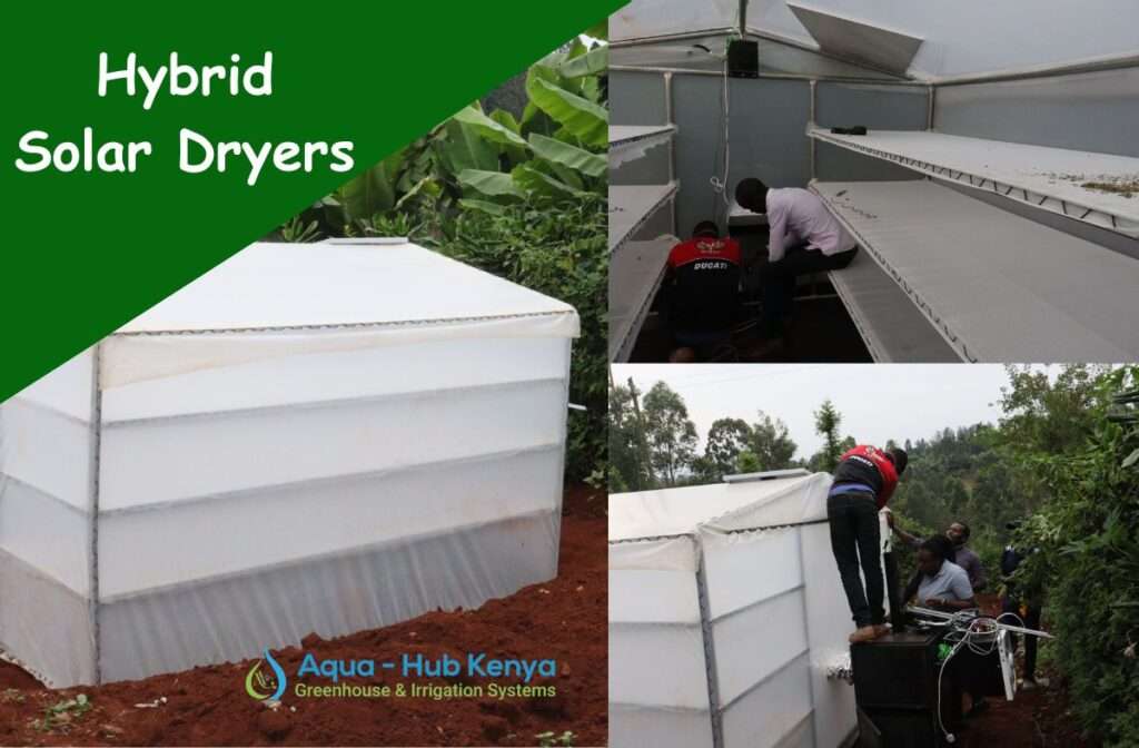 Solar dryers for preserving food