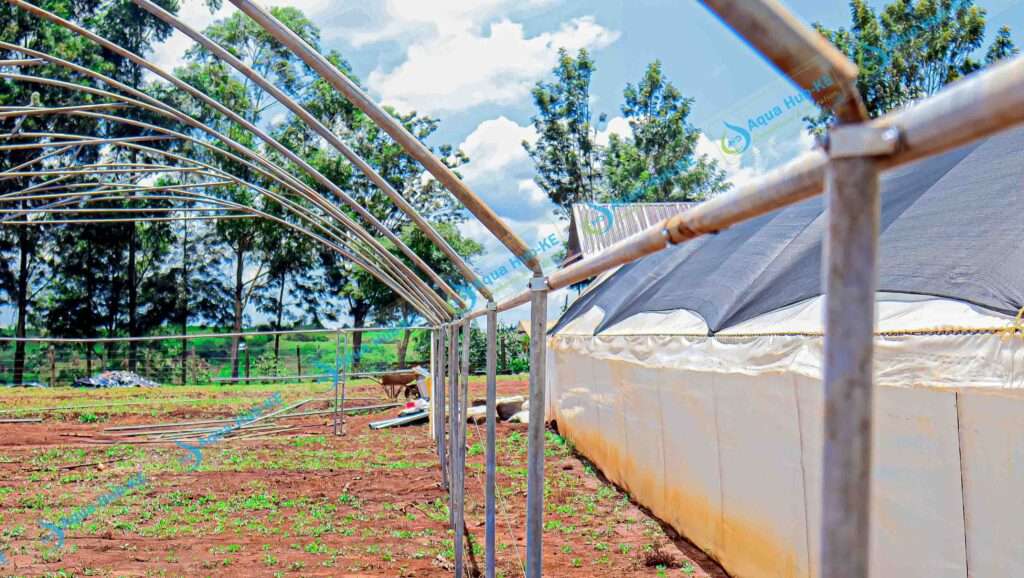 Greenhouse Materials in Kenya