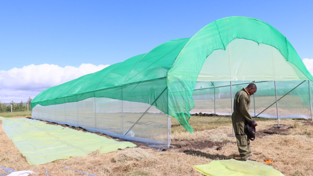 Greenhouse Materials in Kenya
