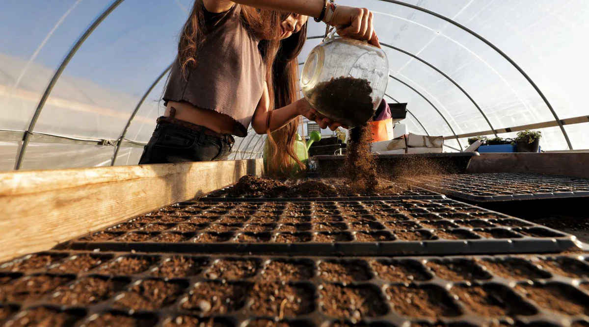 Planting Trays