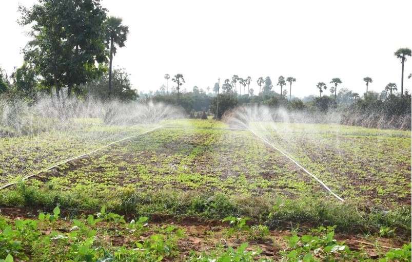 Rain Hose Systems