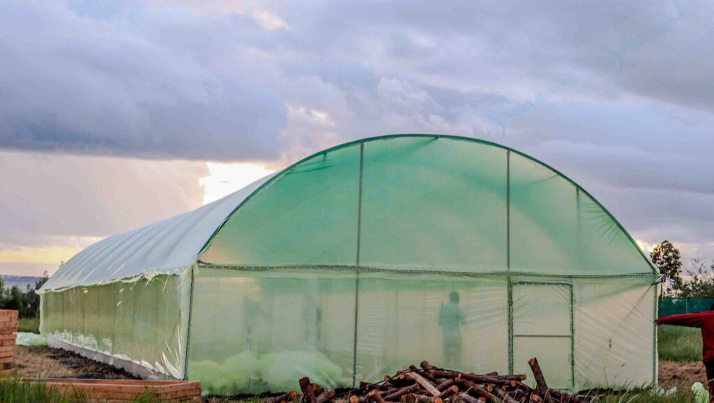 Metallic Greenhouses For Sale in Kenya