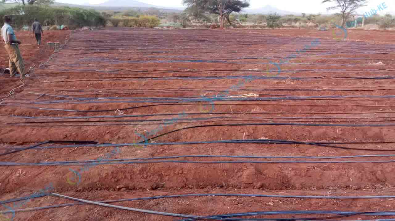 Drip Irrigation Systems for Sale