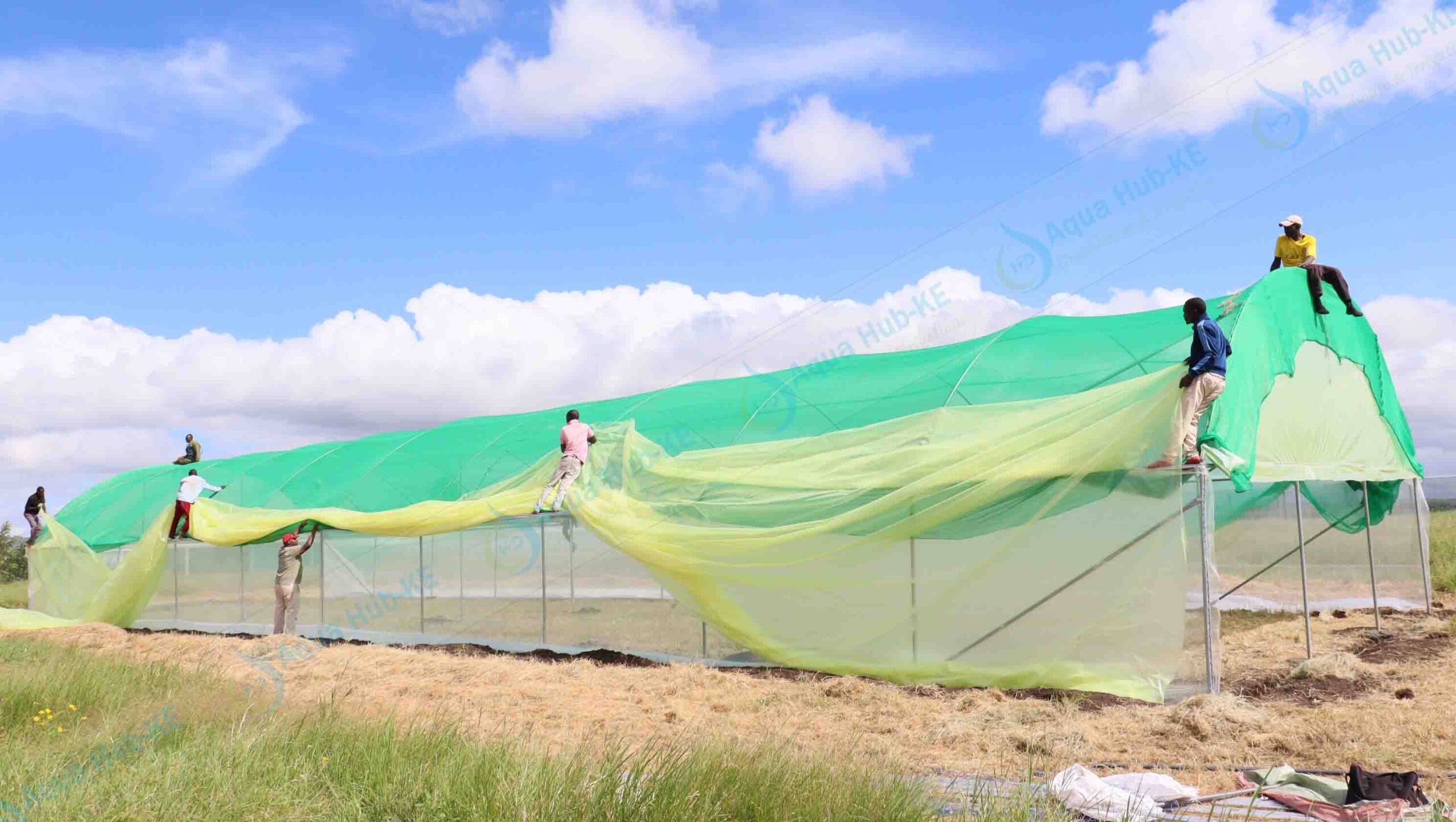 Greenhouse Polythene Covers in Kenya