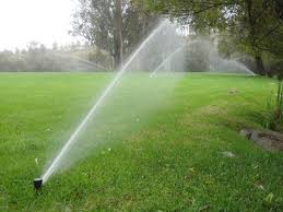 Lawn Pop-up Sprinklers in Kenya