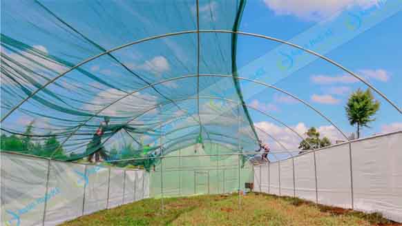 Metallic Greenhouse Structures